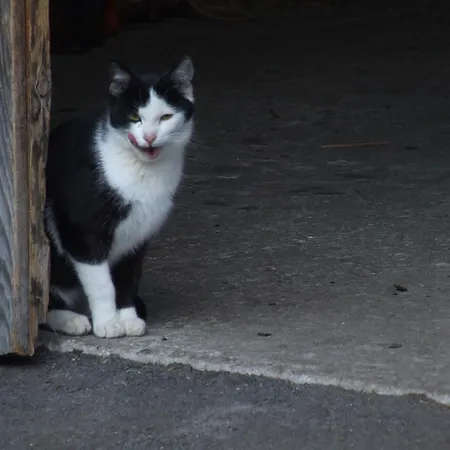 Lehenhof ריד אים זילרטל